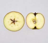 Lord Lambourne æbler overskåret